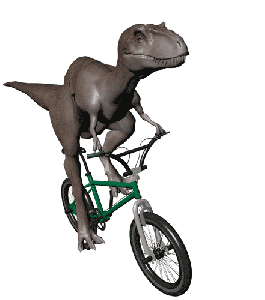 Velociraptor velo